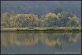 061015- DSC0085-wetlands-mirrorlake-650px