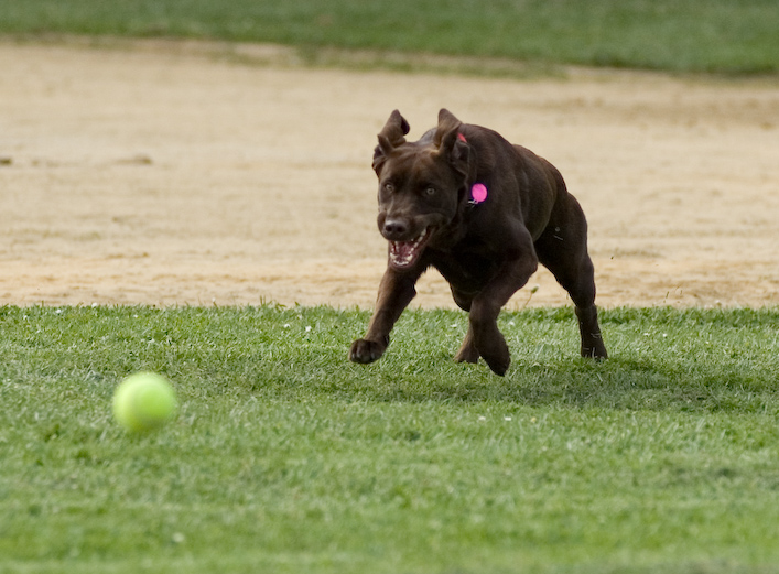 20070503__DSC0085