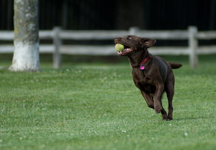 20070503__DSC0116
