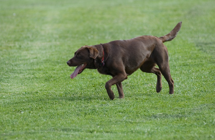 20070503__DSC0151