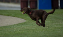 20070503__DSC0121