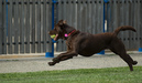 20070503__DSC0125
