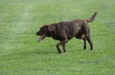 20070503__DSC0151
