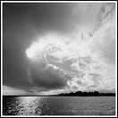 20080123-0774 032 -cowell-600px-sharp