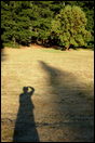 DSC 0031.JPG