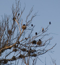 20070517__DSC0106