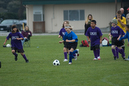 _DSC0060
