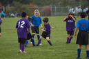 _DSC0096