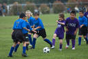 _DSC0097