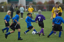 _DSC0115