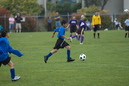 _DSC0146