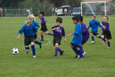 _DSC0161