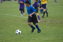 _DSC0220