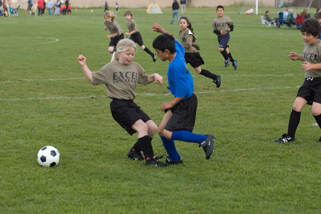 _DSC0015