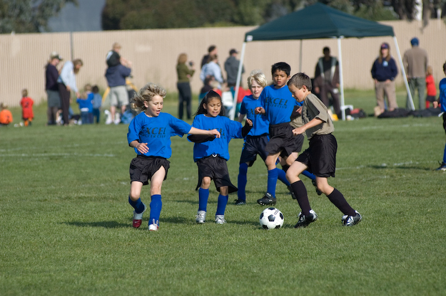 _DSC0102