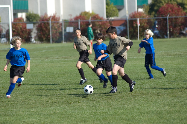 _DSC0117
