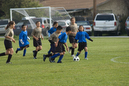 _DSC0033