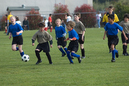 _DSC0036