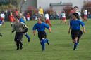 _DSC0037