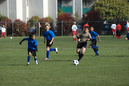 _DSC0081