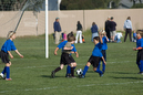_DSC0118