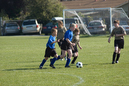 _DSC0123